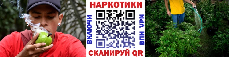 Хочу наркоту Пучеж МЕТАДОН APVP Гашиш МАРИХУАНА Мефедрон КОКАИН